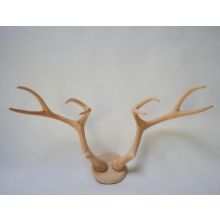 Carved Wood  Mule Deer Antler Plaque
